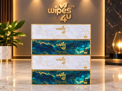 Premium Facial Tissue 100 Pulls (200 Sheets) 4 Packs